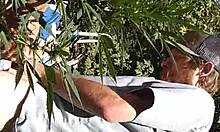 Hot suck and fuck in 420 patch