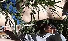 Hot suck and fuck in 420 patch