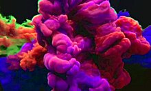 Latina gives ass as birthday gift in Uber