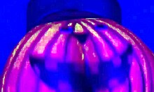amateur gay couple twerks big ass in pumpkin costume for fun