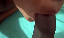 Rough homemade sex with pretty tits sucking and riding cock doggystyle for creampie