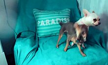 come join me for a wild time, i'm your beautiful cosplay slut fingering on webcam fun