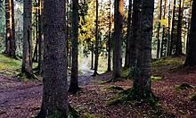 Get lost in wonderlands with deepthroat and swallow