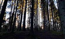 Get lost in wonderlands with deepthroat and swallow