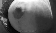 My wife shows off on Brazilian beaches with amateur outdoor fun