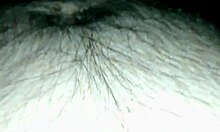 Hey, hot wife begs for anal in group orgy 😈