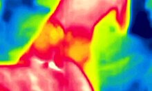 Just banging outdoors with some steamy thermal action, ya know?