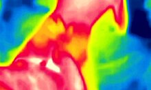 Just banging outdoors with some steamy thermal action, ya know?