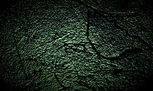 Dana Barzagli shows her big ass and small tits