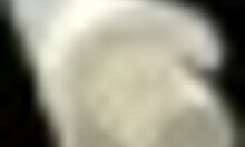 hey, wanna see nerdy girl’s public handjob in library hentai?