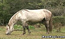 Extremely hot Latino gay couple banging hard right now!