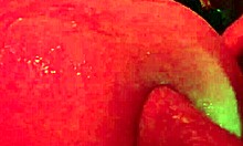 yo, who's ready for some wild gay action