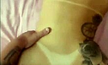 Emotional anal compilation with tasty blonde Gabi Carlos.