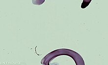 Blonde teen Kortney Kane licks pussy in California glamour scene