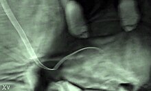 La Puta Roxxana Chupando Dos Consoladores Mientras Se La Cojen Slutty Roxy Sucks Two Dildos As She Gets Fuck Doggy!