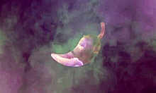 Latina Brunette Gets Assfucked Doggystyle In Car Creampie