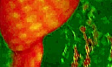 Angelg and kuzz in halloween special part 2 with monster cock