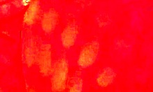 Angelg and kuzz in halloween special part 2 with monster cock