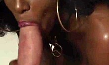 watch these blondes and brunettes swallow my monster cock in florida