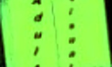 leap of faith 48 explores erotic anime adventures at home