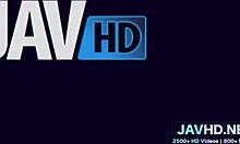 Still warm hairy pussies straight from japan vol 117