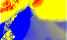 ebony girl gives sloppy blowjob pov