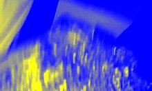 ebony girl gives sloppy blowjob pov