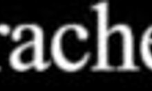 tattooed goddess sexyrachel846 sucking monster cock outdoors, isn't it dirty?