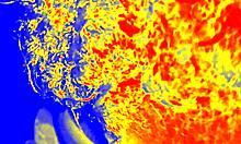 ebony girl gives sloppy blowjob pov