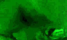 Amateur Blowjob Session Captured On Video