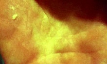 doggystyle hot redhead step d