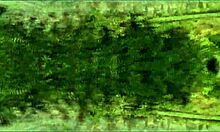 Julieta Stars in Full-Length Mexican Teen Cinema Experience