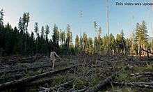 Naked girl explores desires while masturbating in forest. Nature surrounds her bold public act.