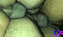 four males in box, secret gay orgy with see through, bareback fun. satisfied?