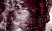 Hermanastra Sola En Mi Habitacion Quiere Que La Llene De Leche Hasta Quedar Embarazada