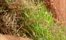 impregnated my sister-in-law