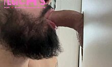 Contos E Pintos - Episode 3