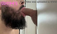 Contos E Pintos - Episode 3