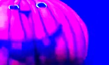 Happy Halloween Anime Couple