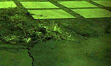 Arrested In Bondage! Nothing Like BDSM And Public Sex To Make A Doll Cum!