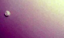 hey, drblackjohnsonxxx pounds that busty trailer park slut