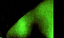 They Fuck Me in Sister's Lingerie as Sissy!