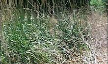 young cute girls learn sex for the first time with pussy fucking and cumshot