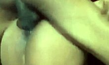 Monkey Missionary With Wifey