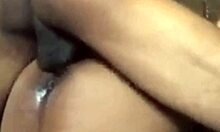 Monkey Missionary With Wifey