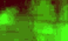 BBW Dominates Her Shower with Intense Solo Masturbation.