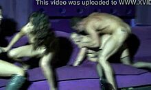 la fiesta turns into a wild spanish holiday gathering