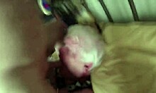 Two grandfathers engage in intimate activity for viewers