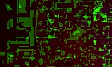 Knowing It's Going Down With Mature Amateurs