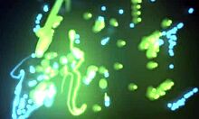 shy debutante livia park's first huge cock fuck